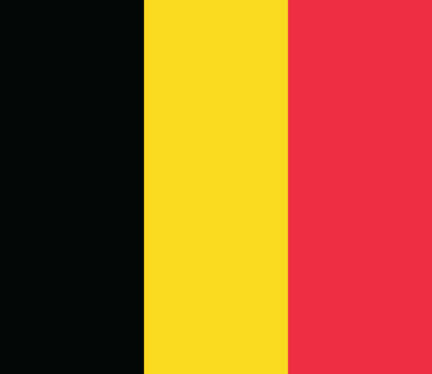 Belgium announces temporary low VAT rate for electricity, natural gas, and district heating